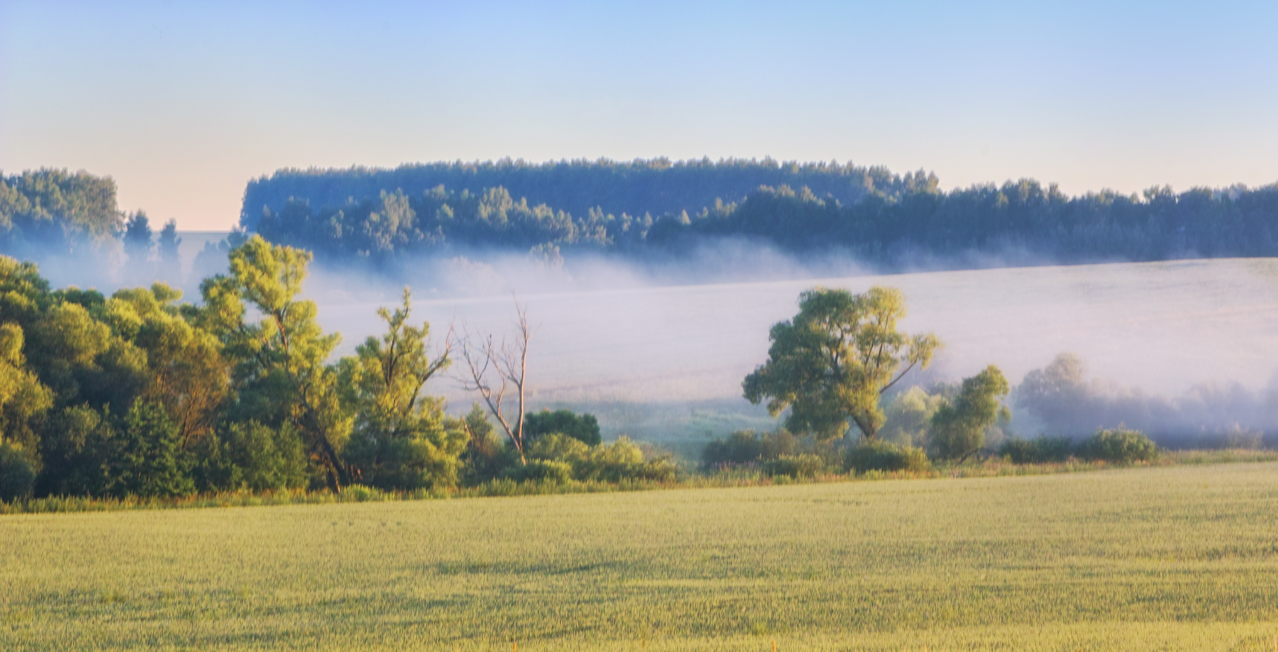 В туманной дымке