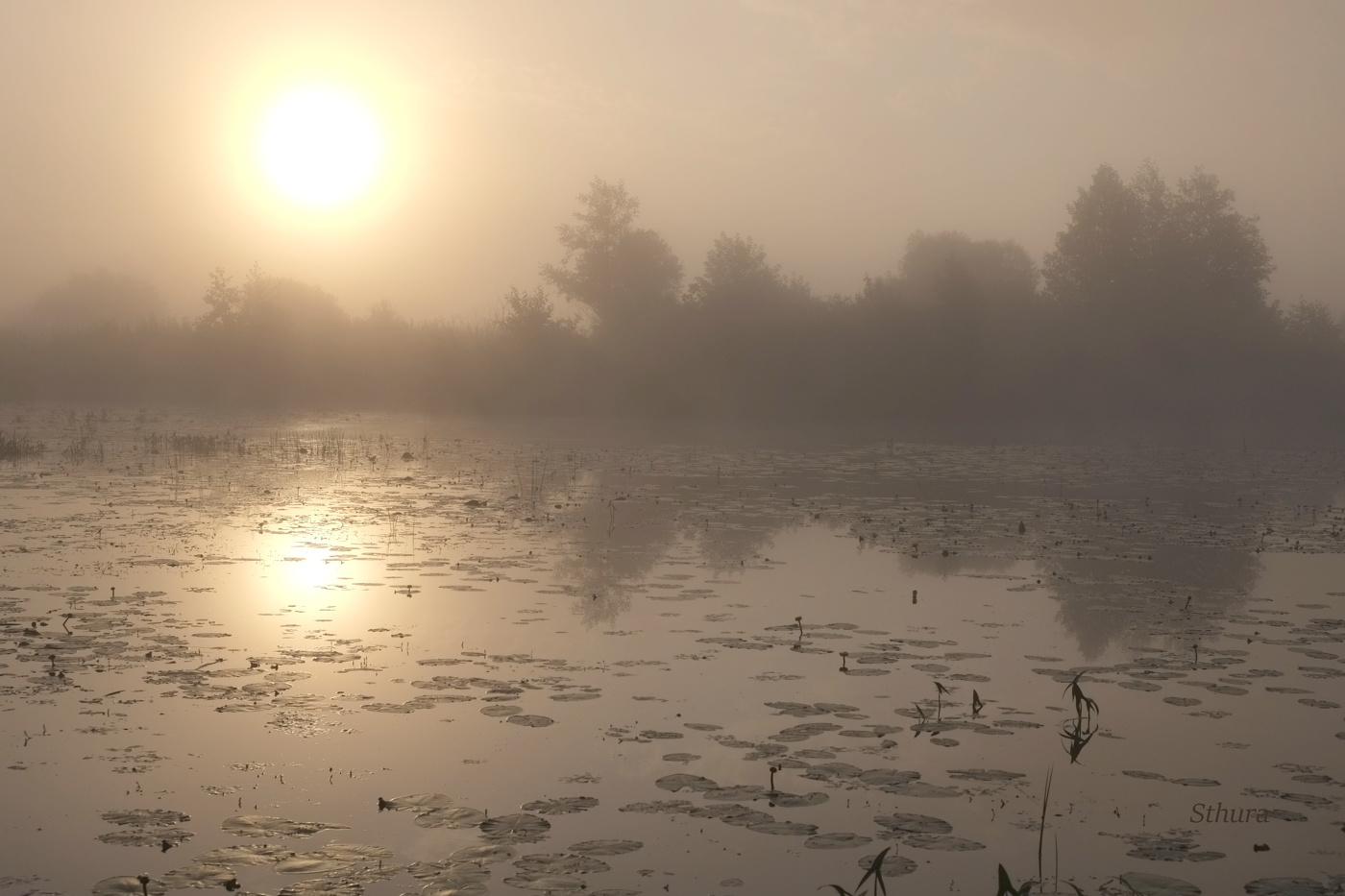Время рассвета.