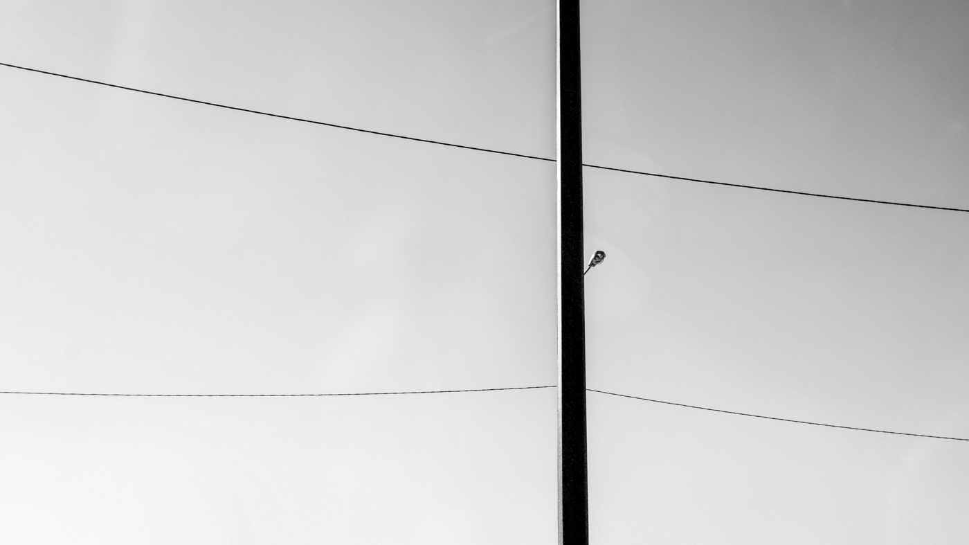 Жизнь вокруг