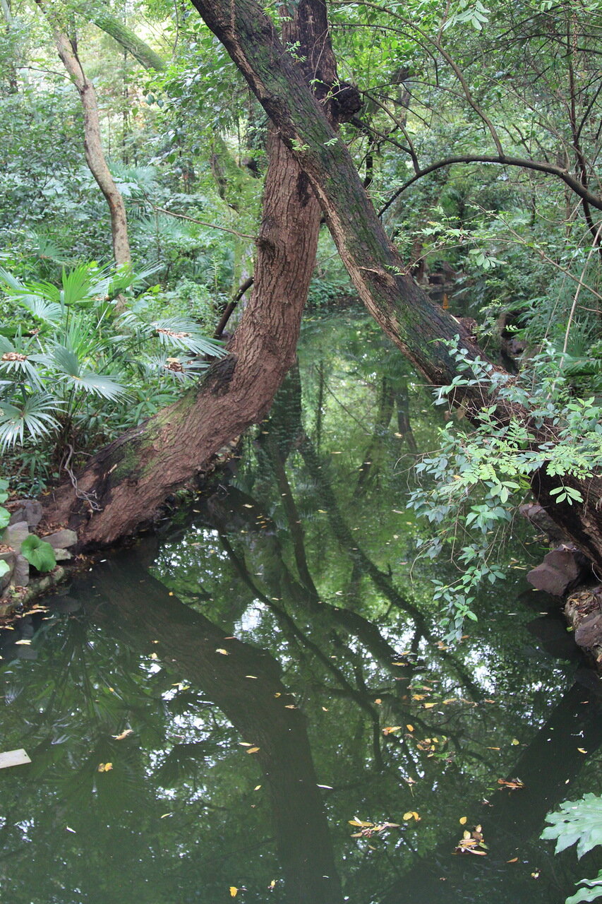 Китайские зарисовки