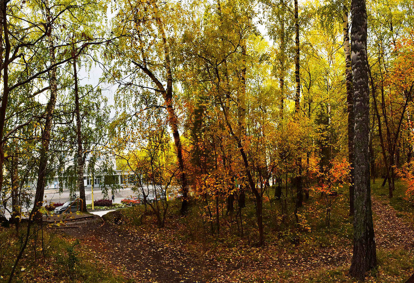 Сентябрь в городе