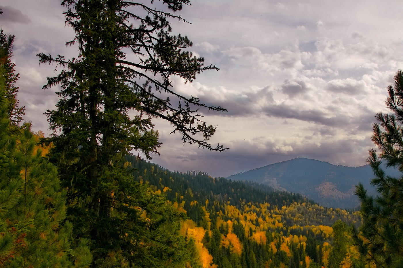 *Пасмурно.**