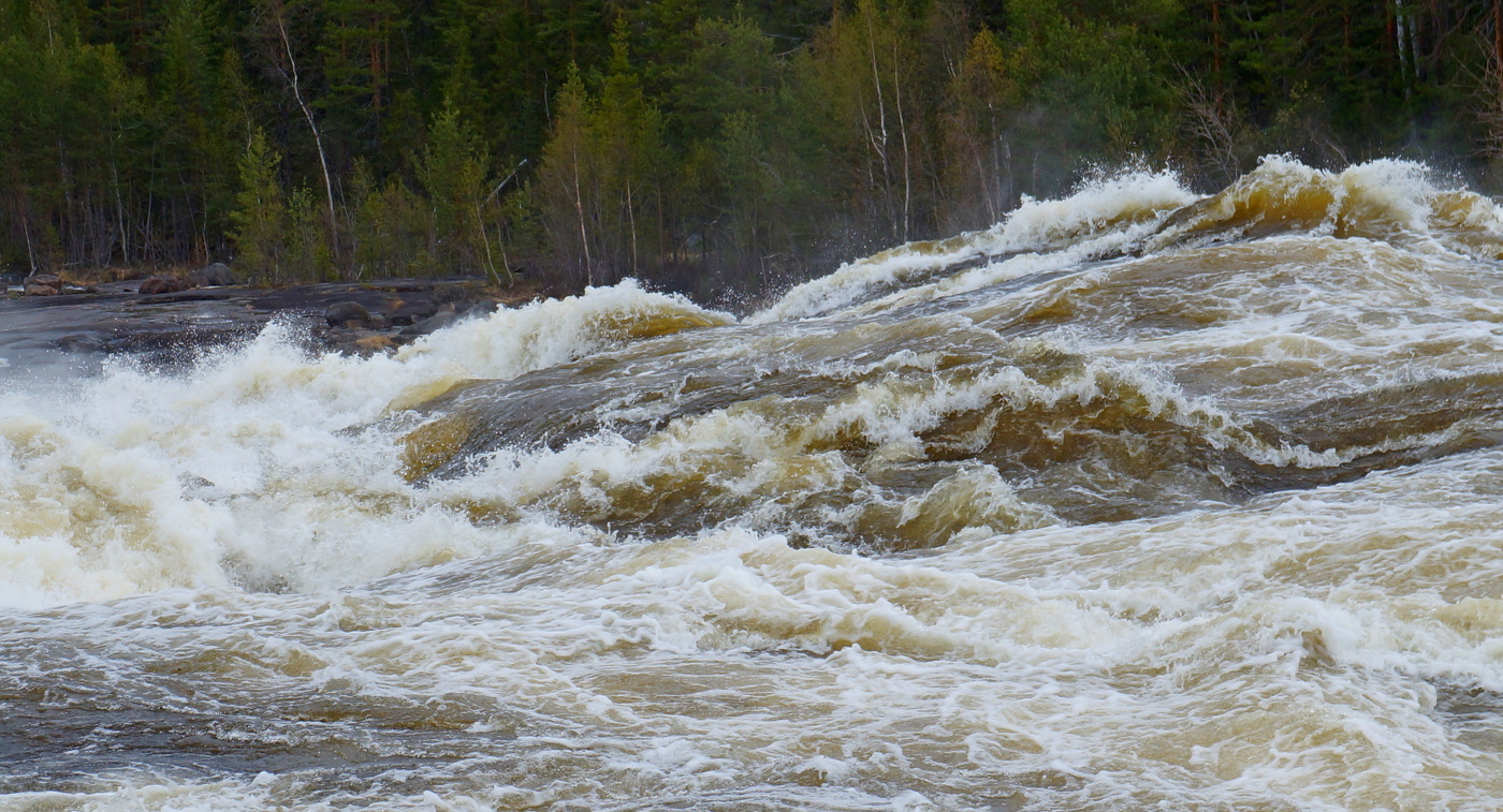 Характер холерический