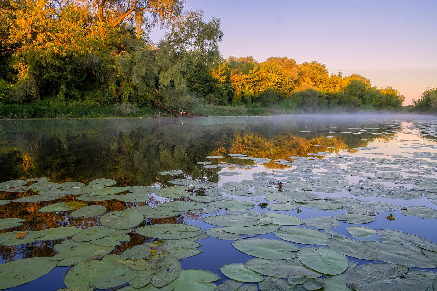 Рассвет в Проливе.