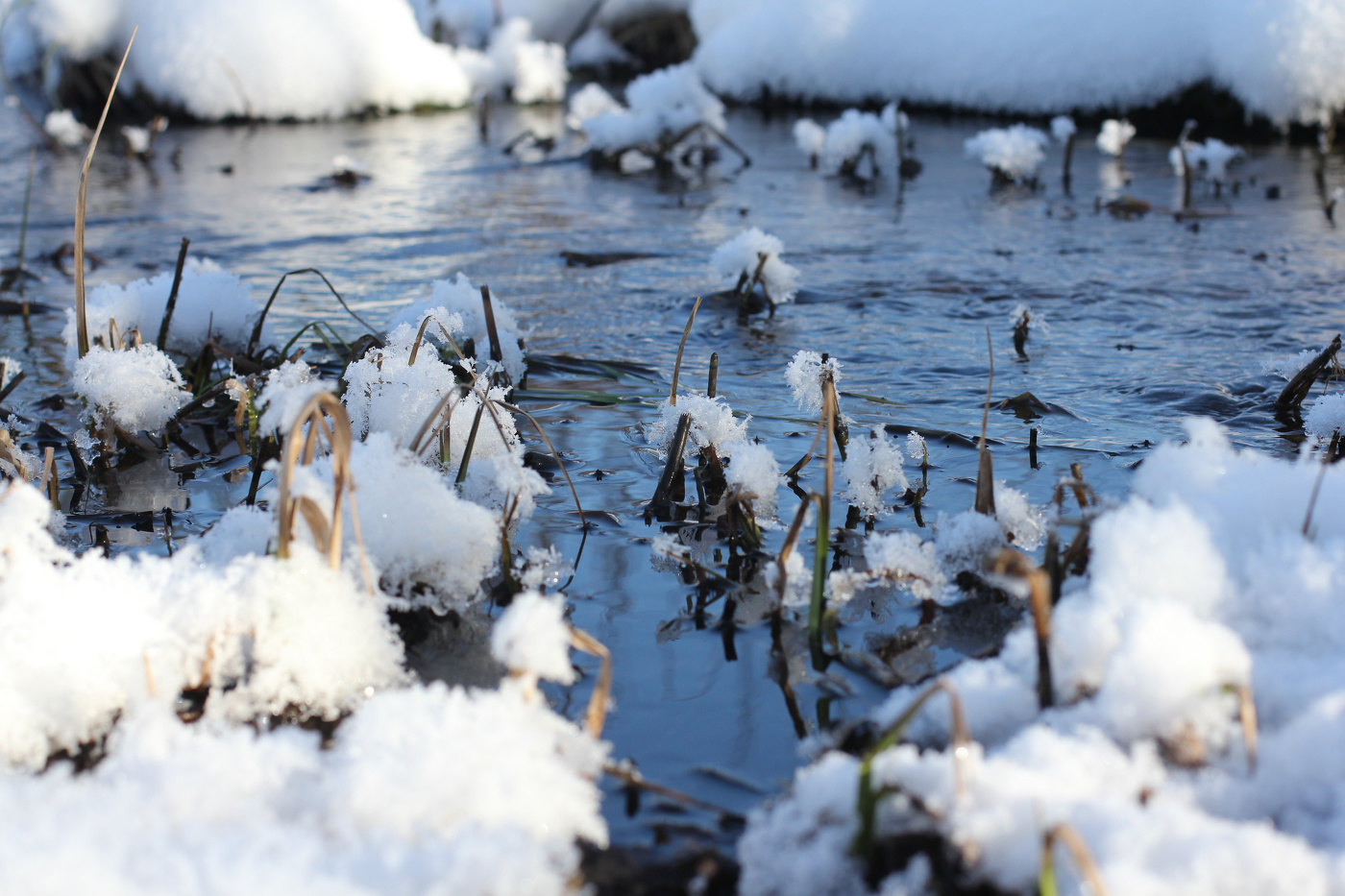 Весенний ручеёк
