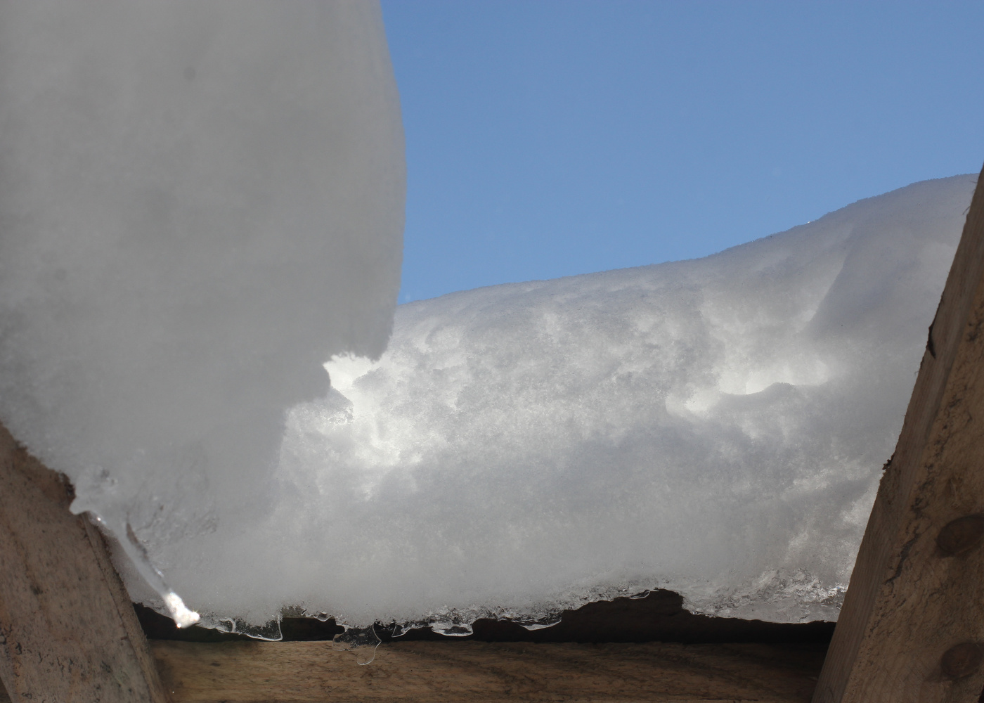 Солнце сквозь снег