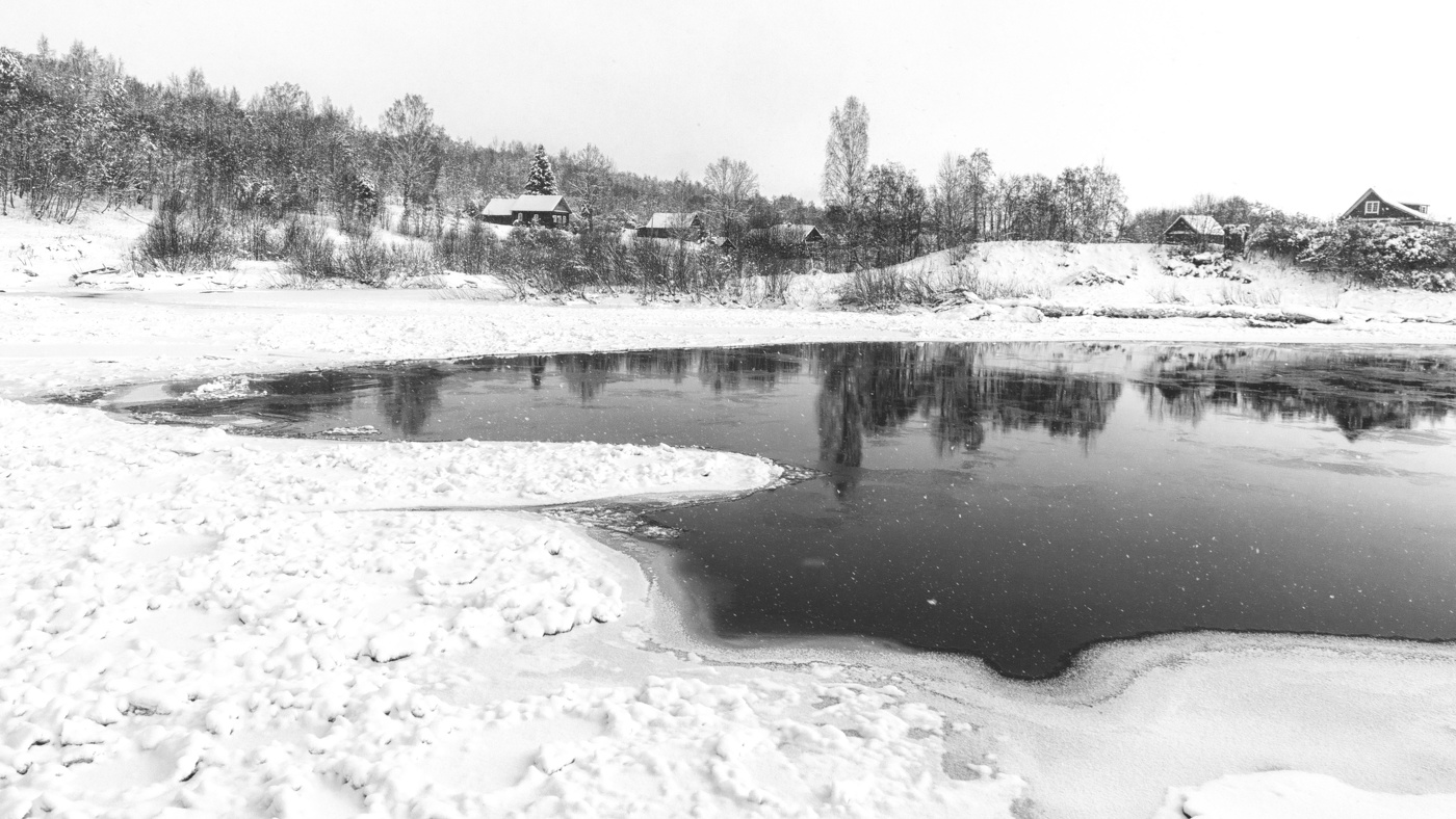 Жизнь вокруг