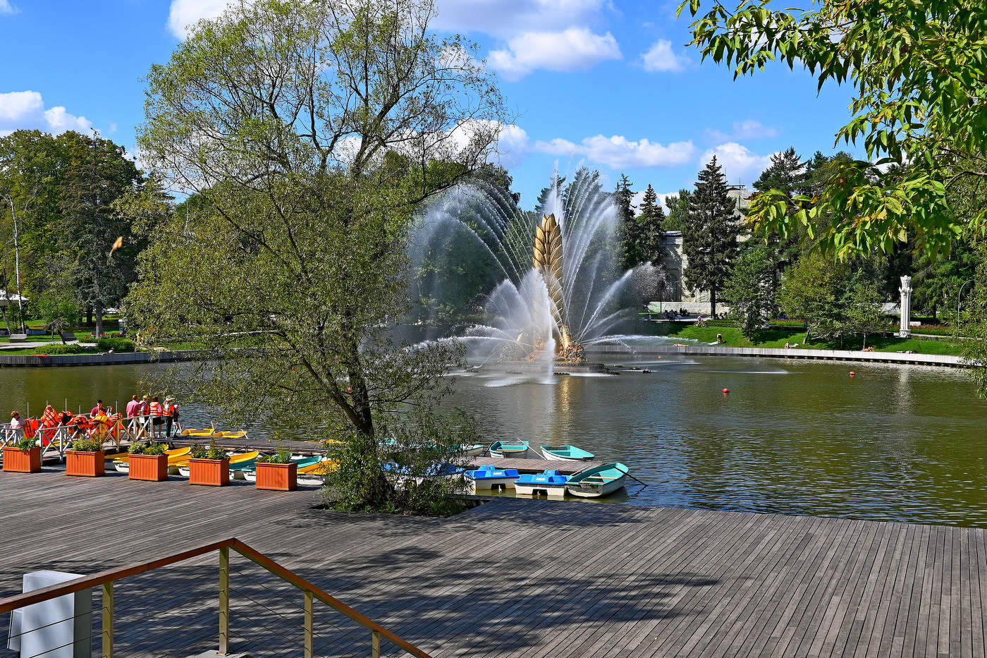 Золотой колос