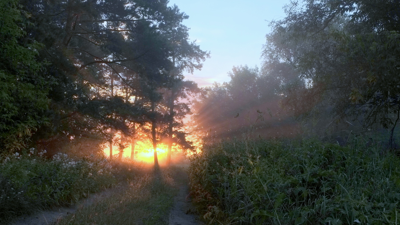 Рассвет. Лето.