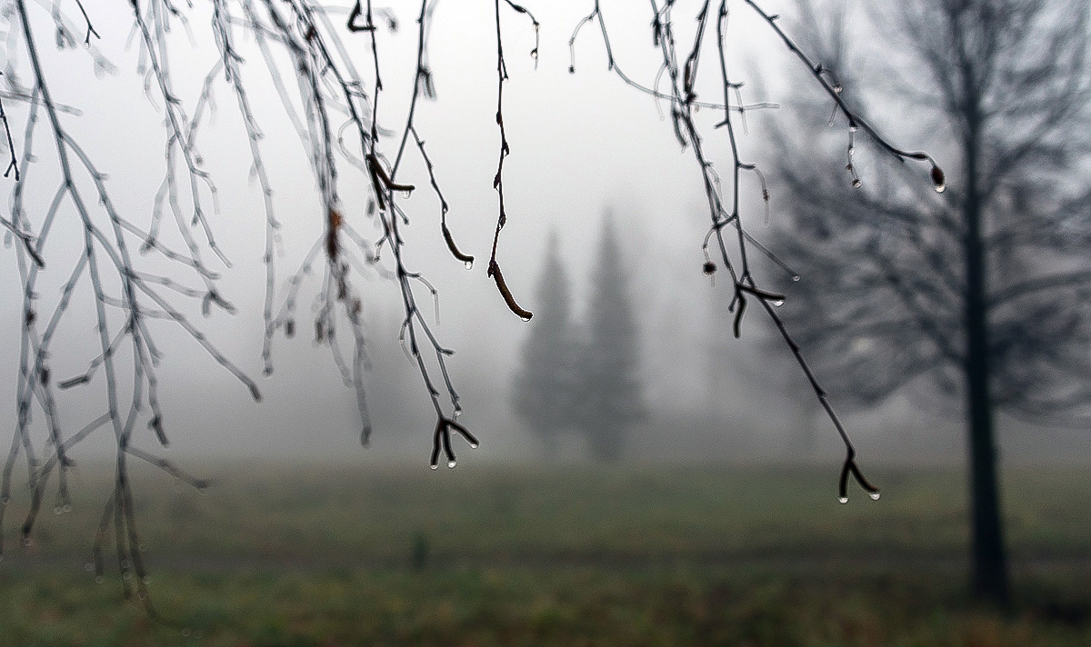 Туман и "слезы".