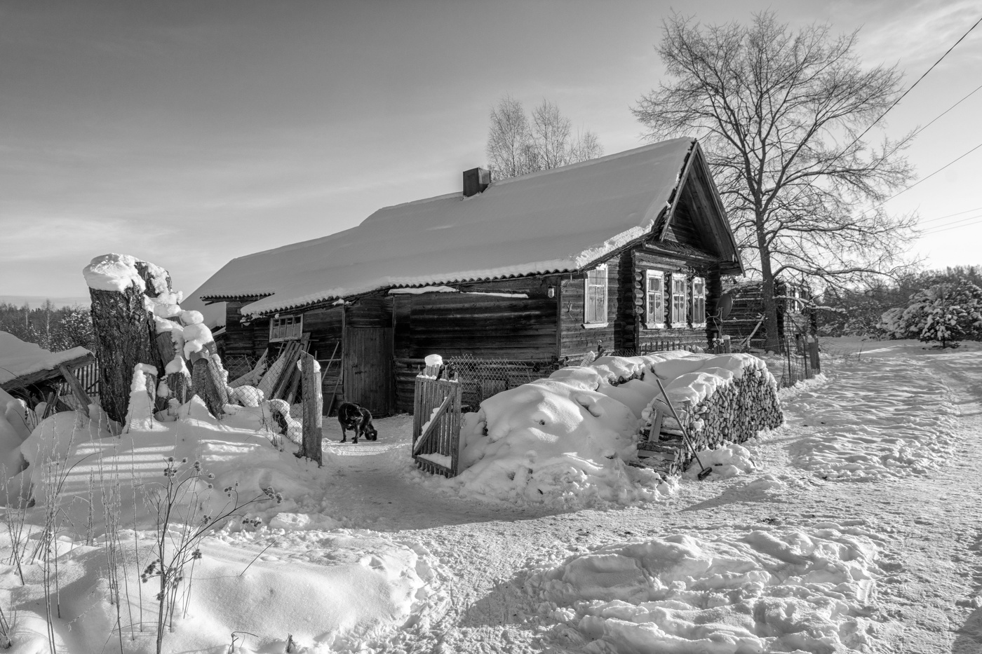 Жизнь вокруг