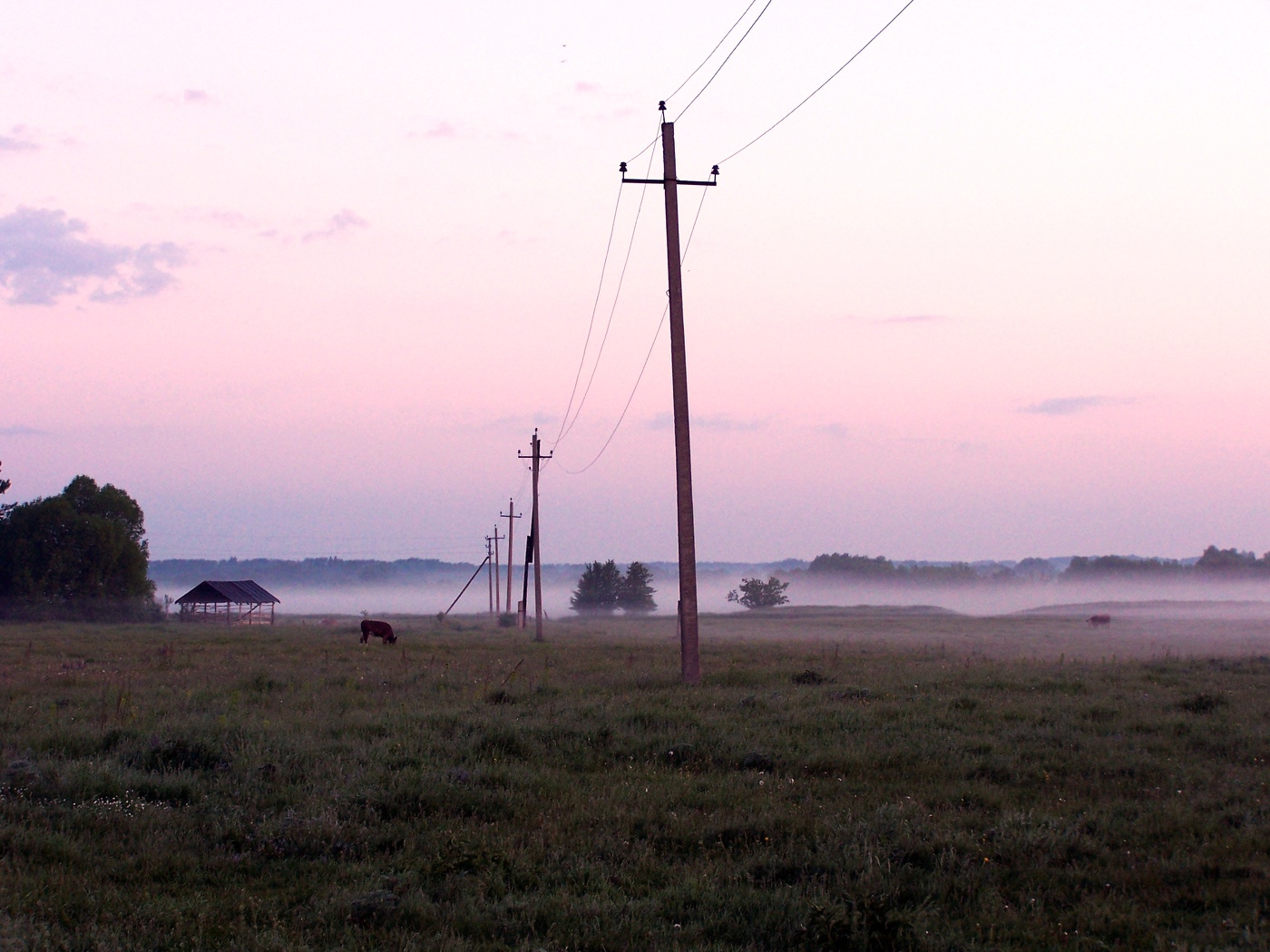 Утренняя зорька