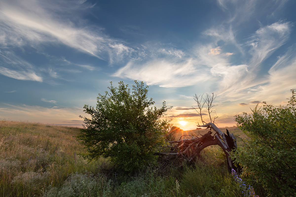 День прошел