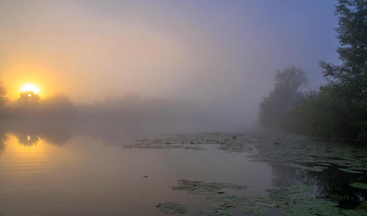 Осенние туманы.