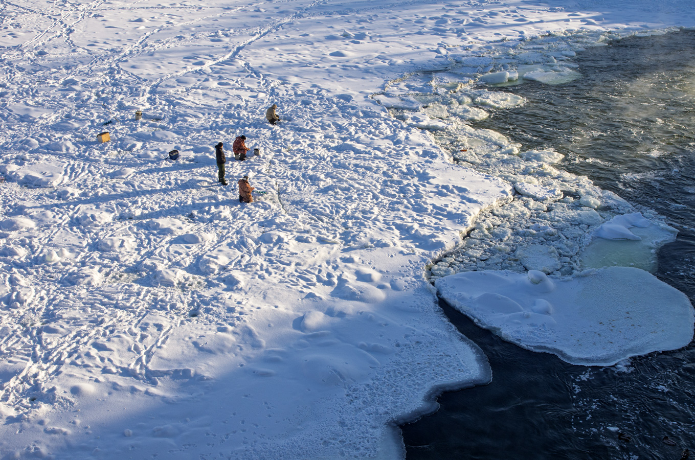 Бессмертные