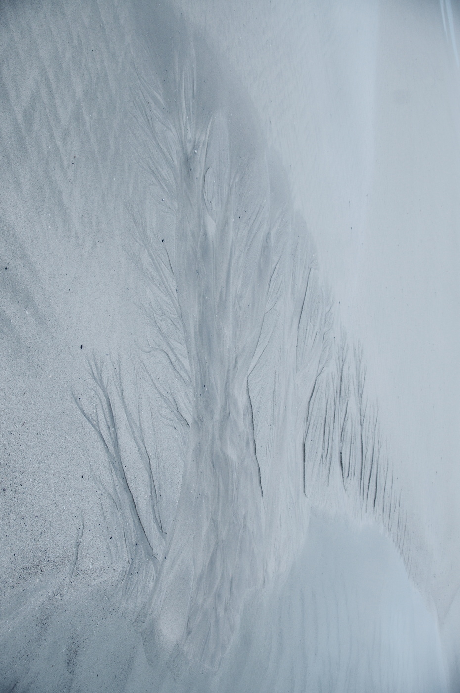 Песчаная аллея