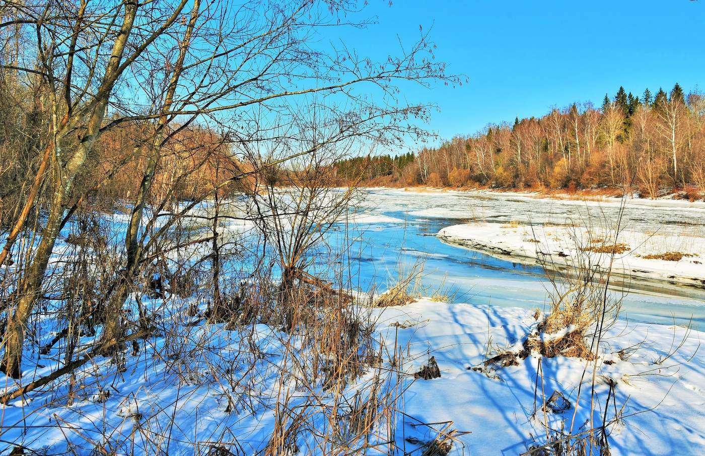 В последних числах февраля была прекрасная погода ...
