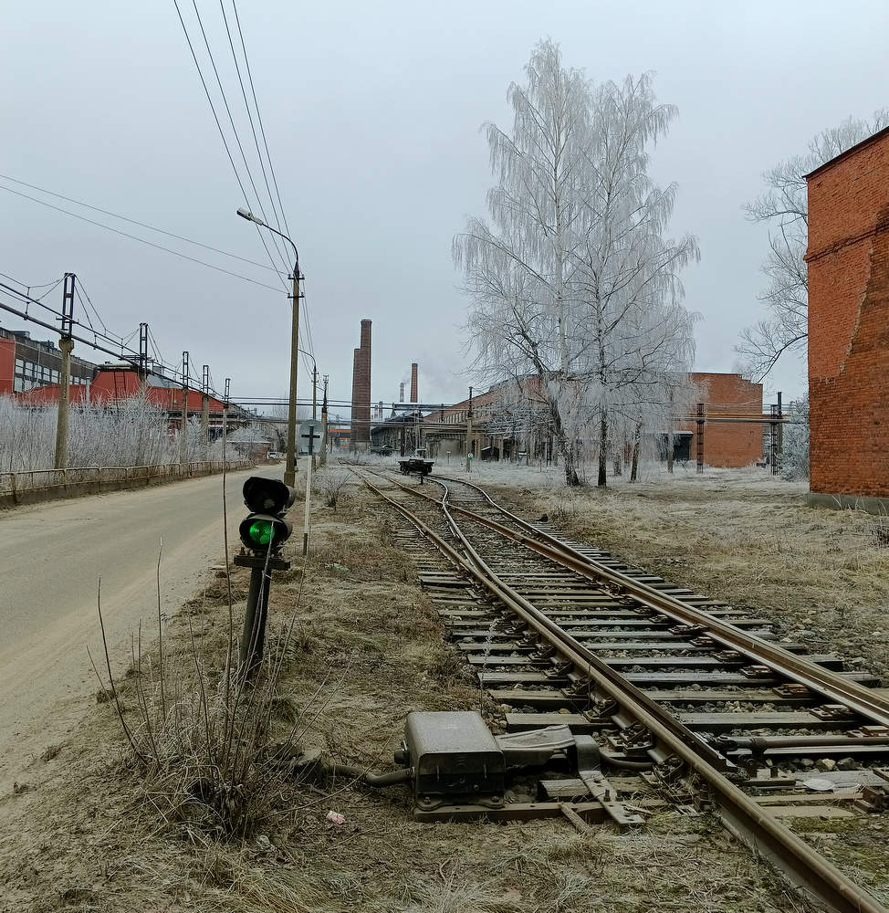 Бесснежная зима...