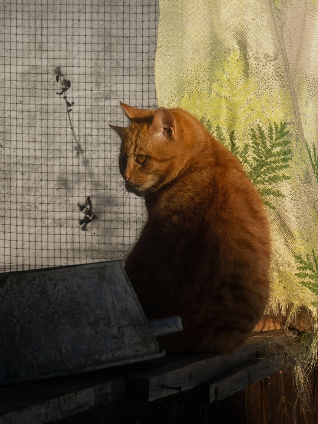 Жизнь вокруг