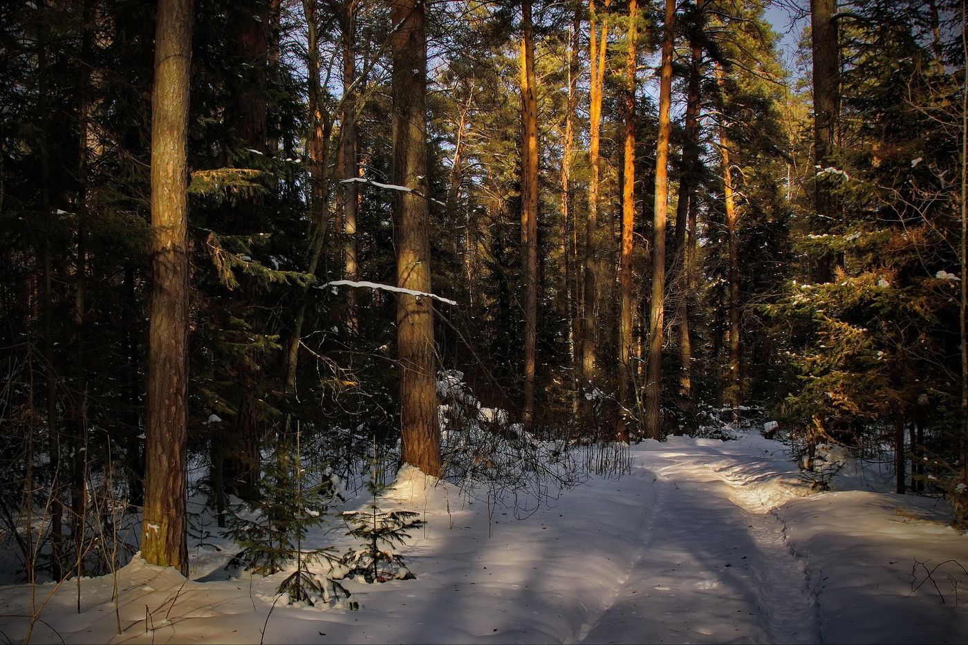 *Февральским днём.**