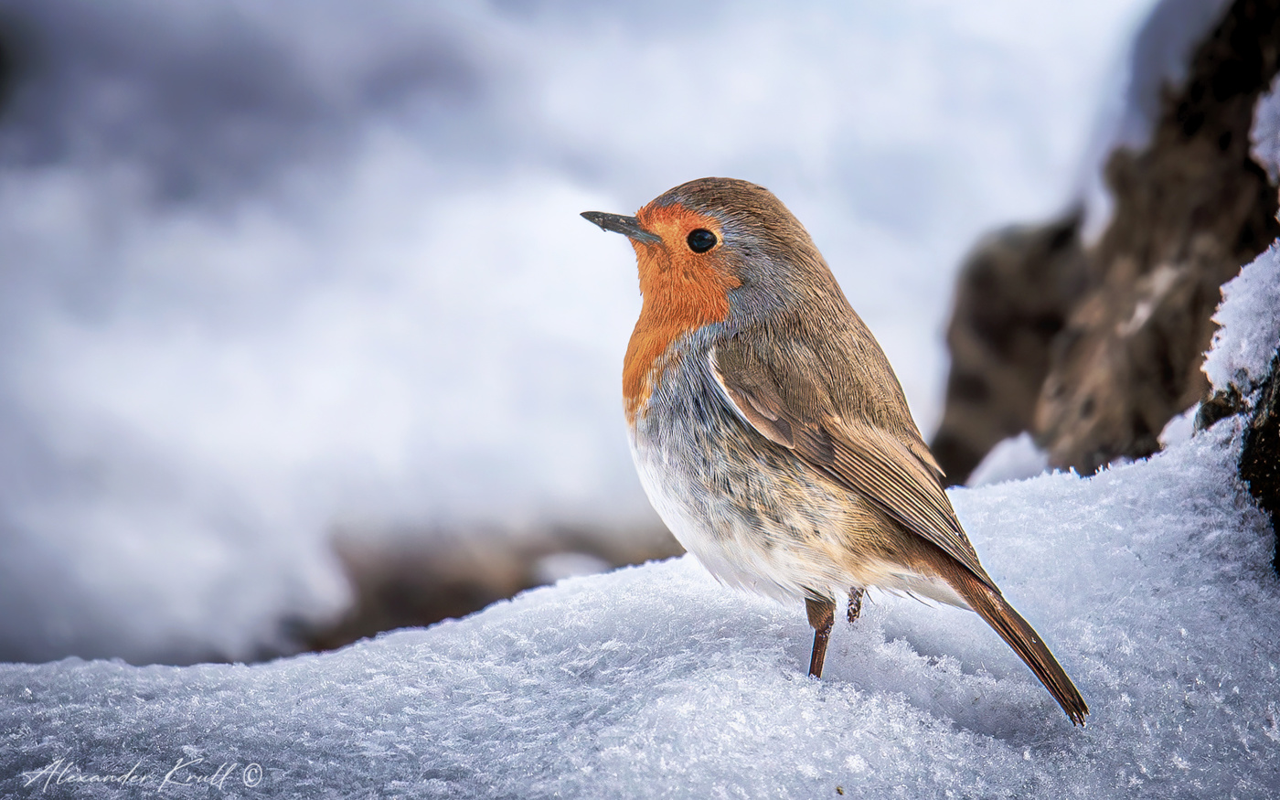 Зима, однако...