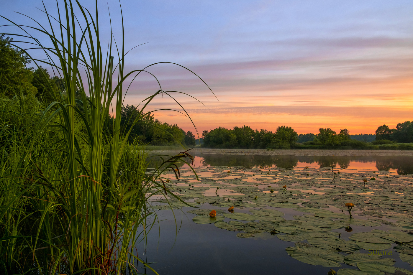 Рассвет в июне.