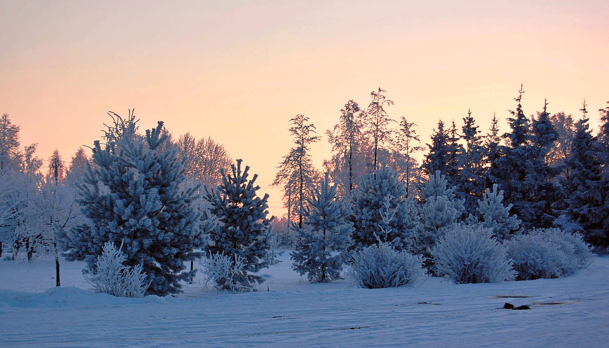 Морозным зимним вечером