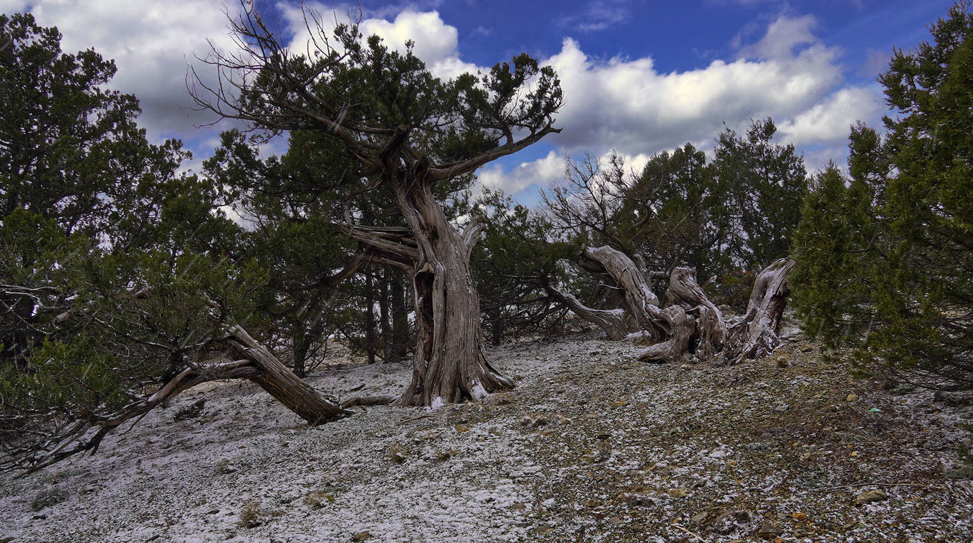 На склонах Сокола