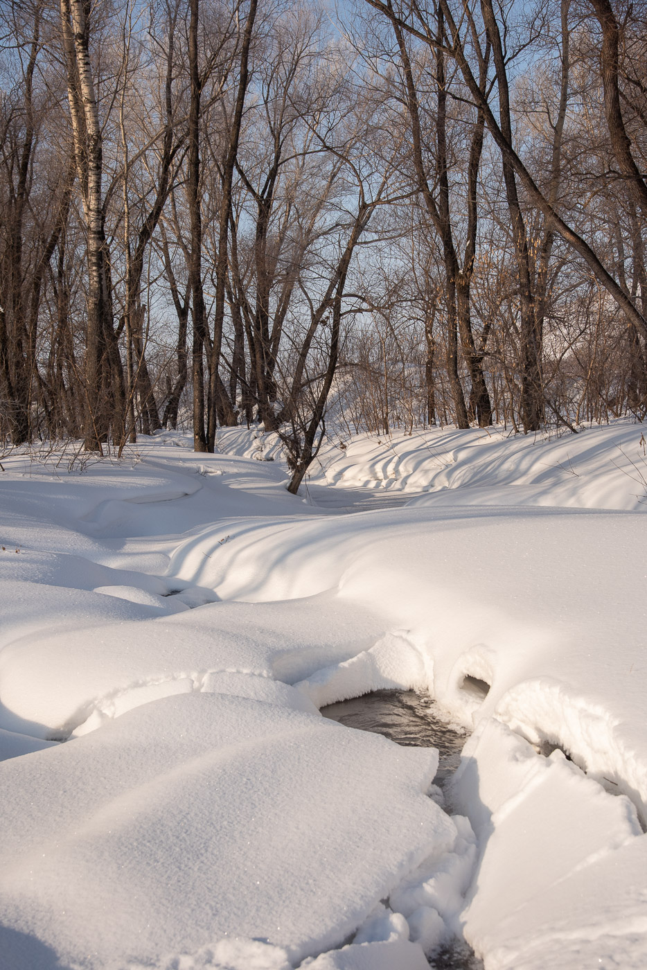 Скоро весна!
