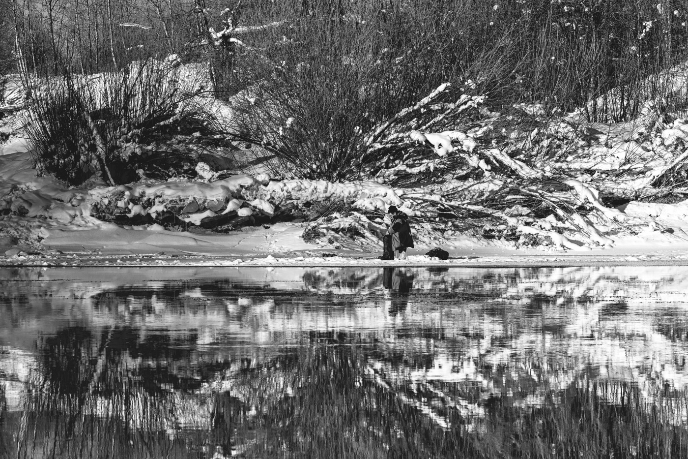 Жизнь вокруг