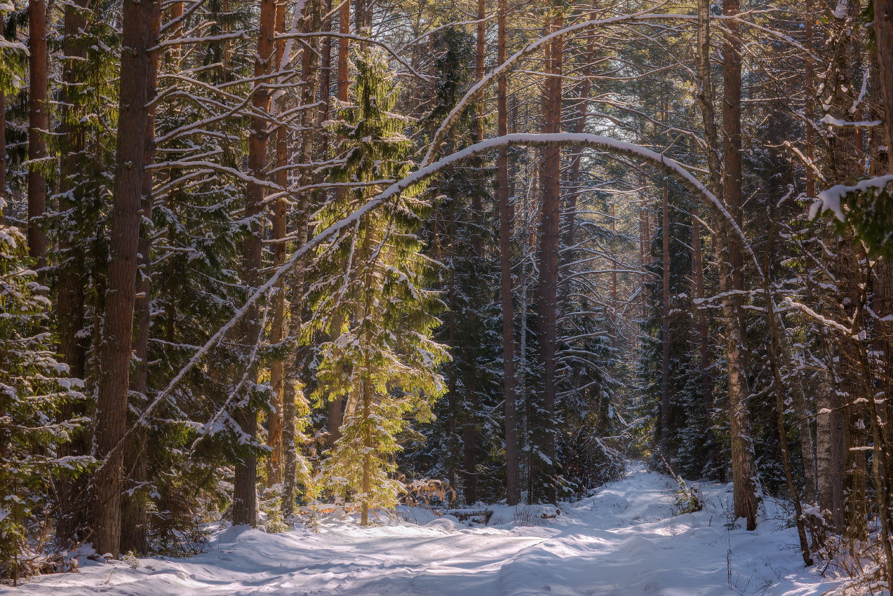 В солнечный день