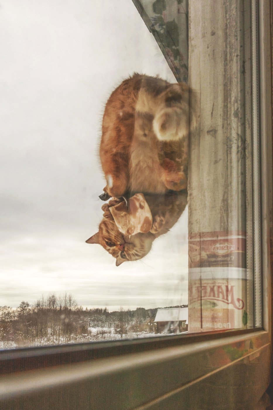 Жизнь вокруг