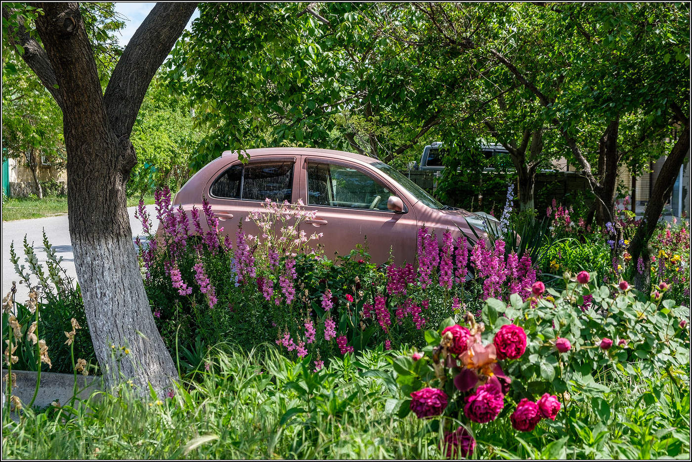 На майских улицах Анапы.