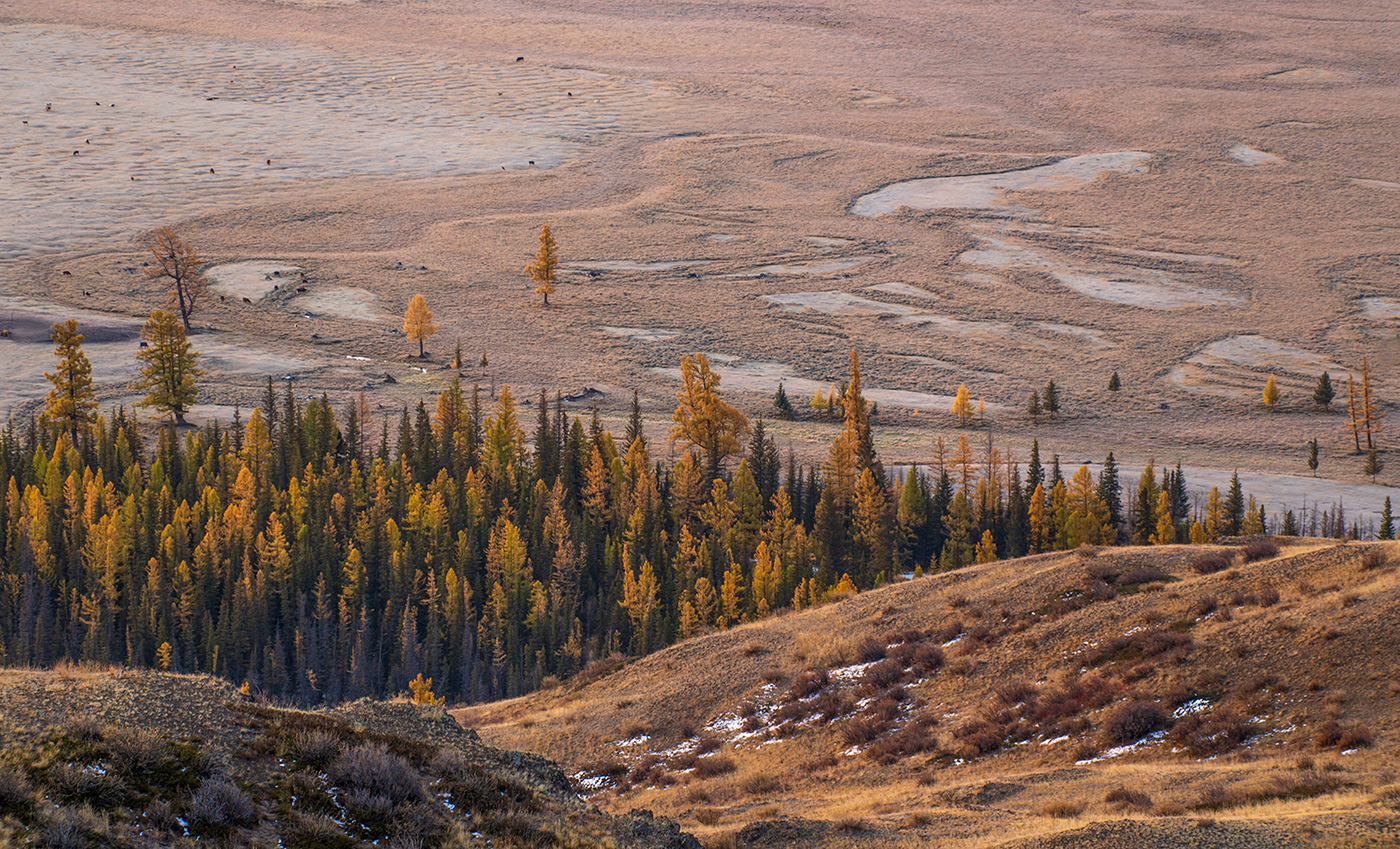 Розовая долина