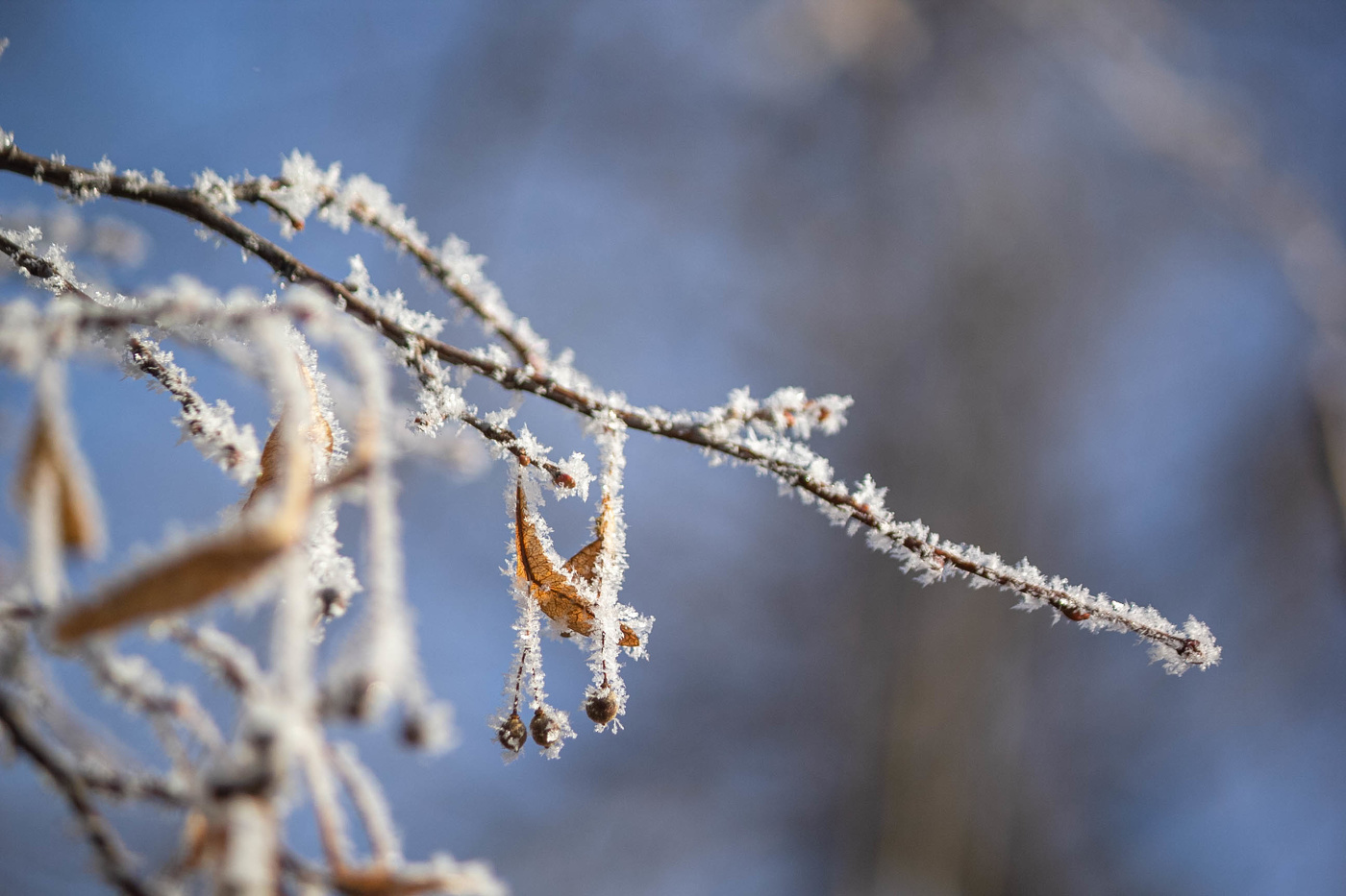 Зима, последние деньки