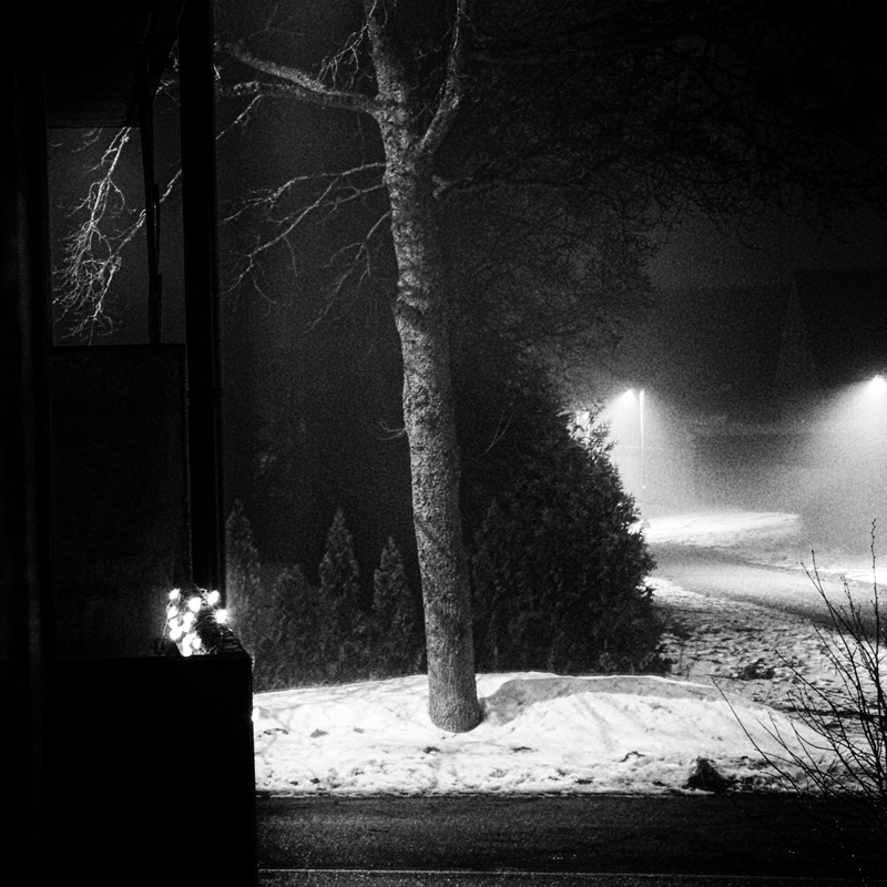 Люблю, порой, в ночной тиши