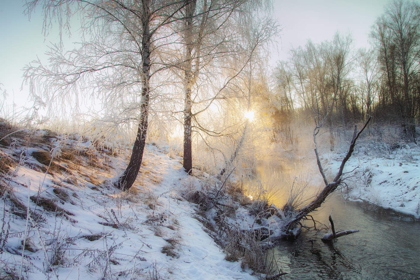 Три берёзки над рекой