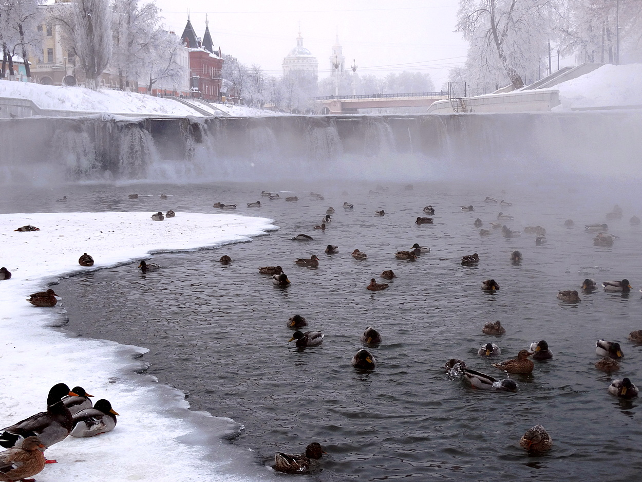 Туман в морозное утро над рекой