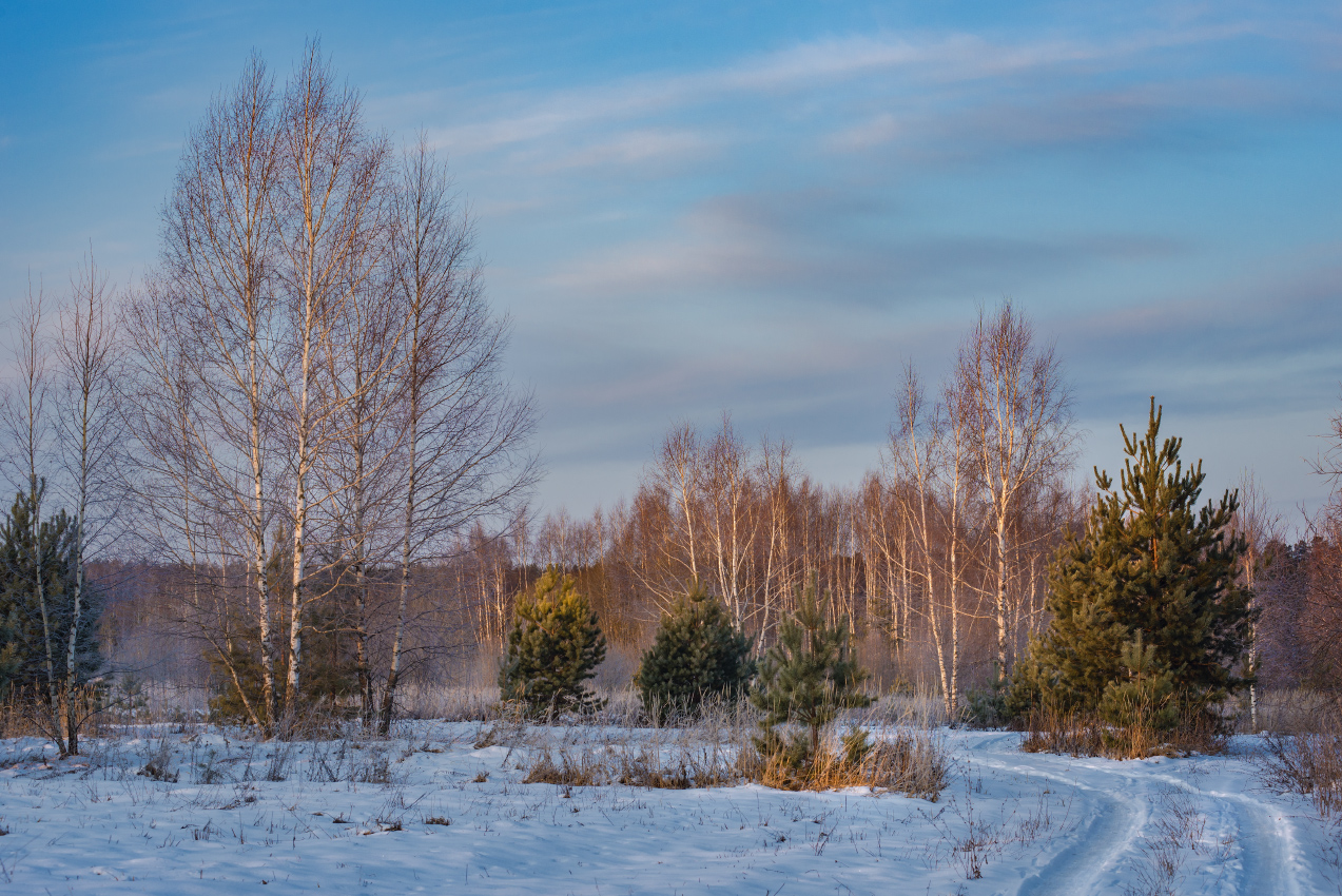 Солнышко встает.
