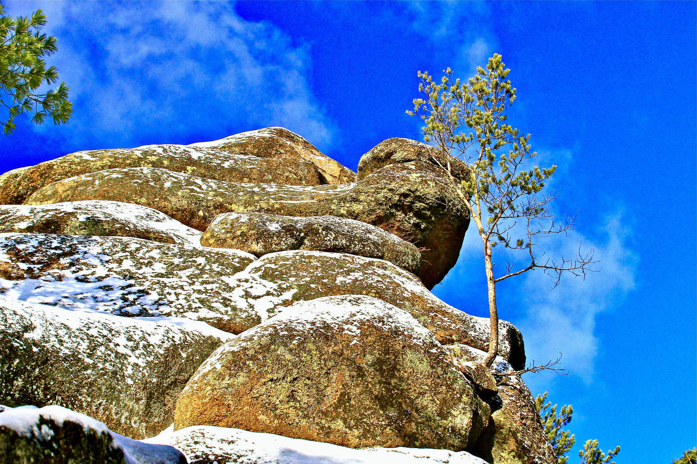 Синь небесная — весны предвестие