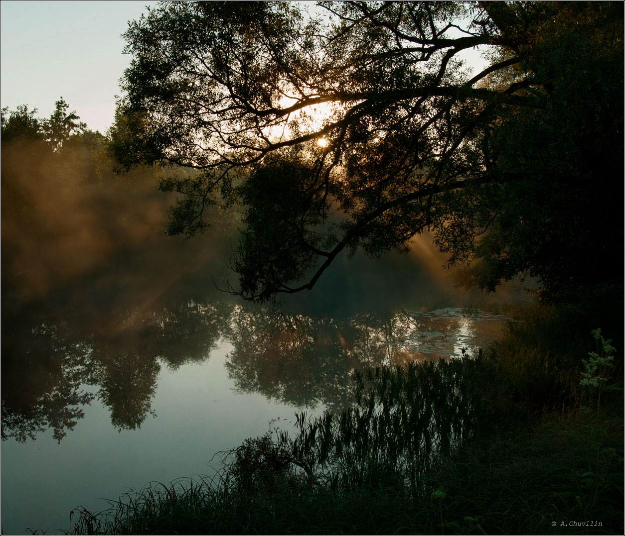 Ажурный сумрак восхода