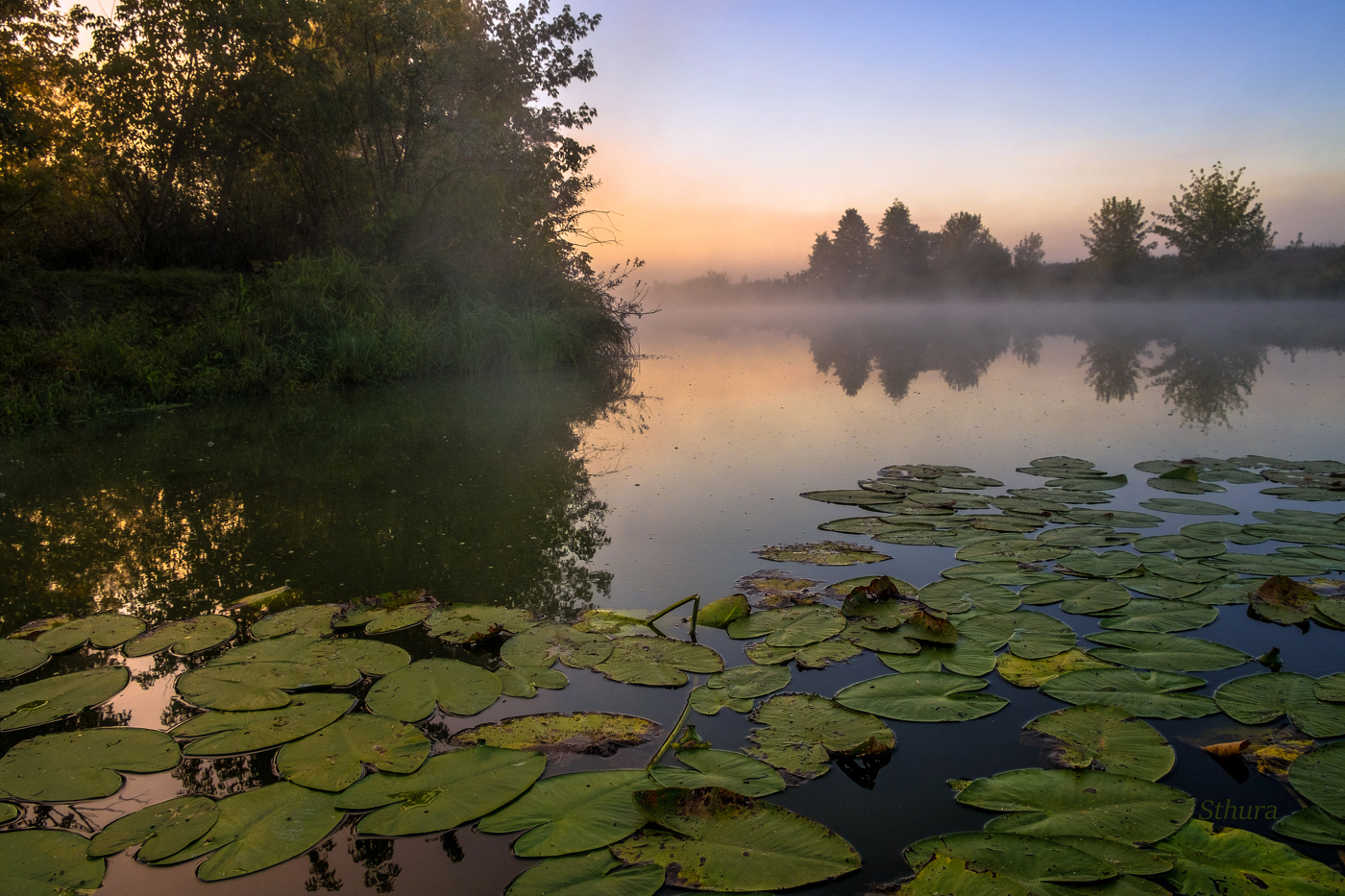 Сонное утро.