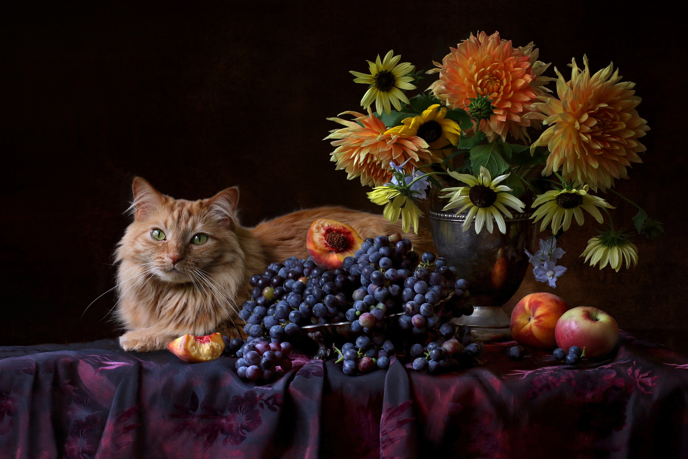 Кот и натюрморт