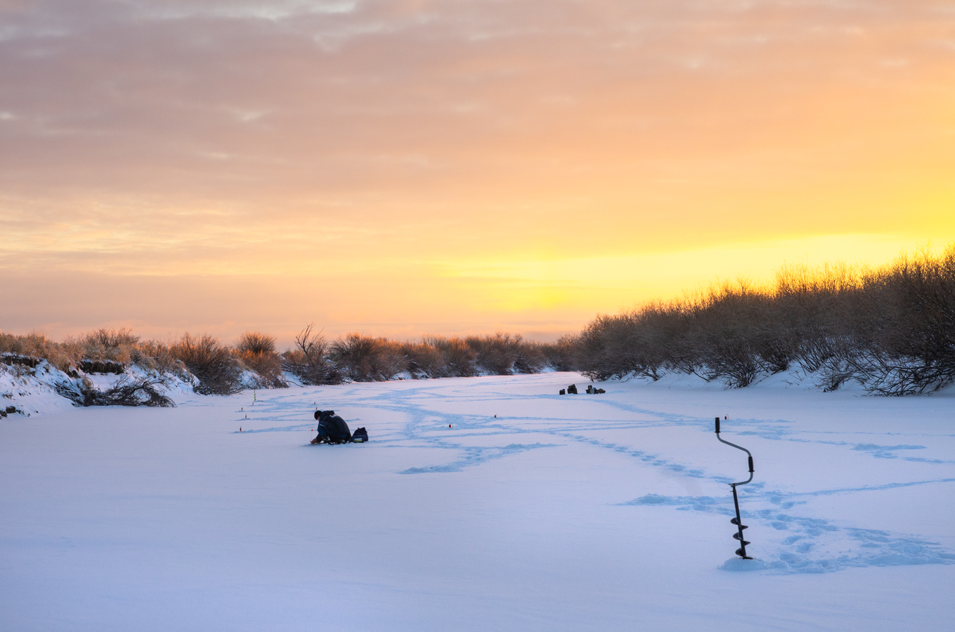 Жерлички поутру