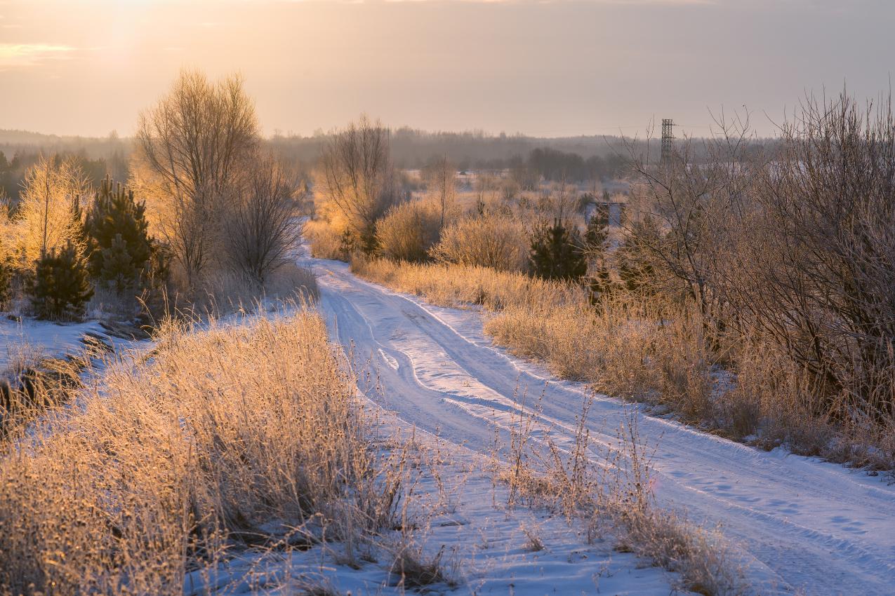 На рассвете