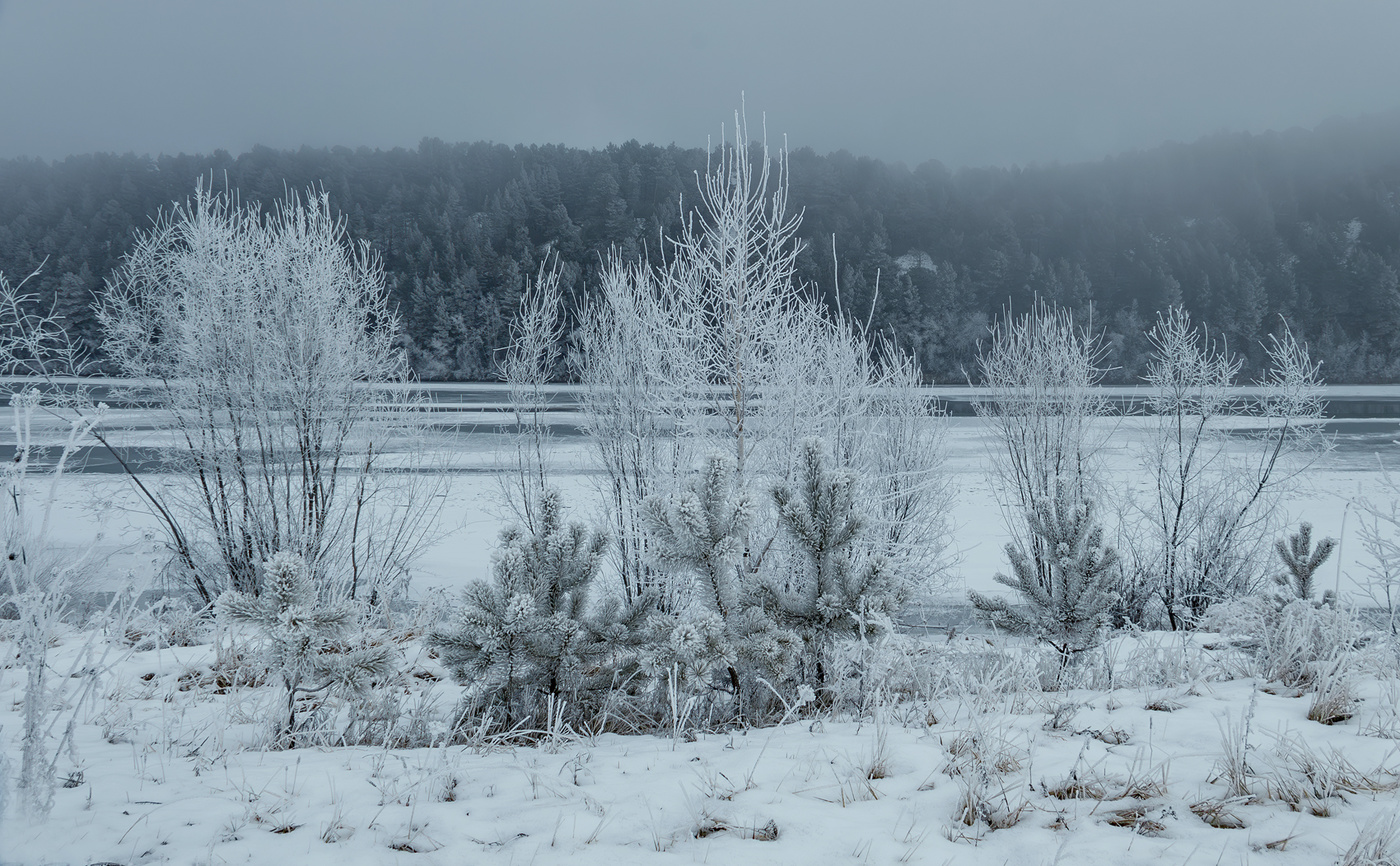 На зимнем берегу