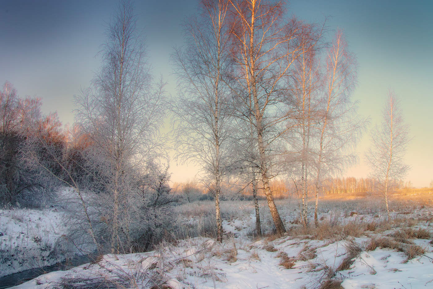 Коснулось солнце верхушек берёз