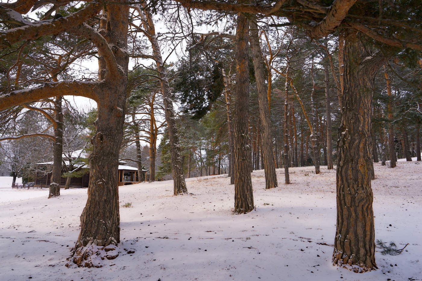 скоро Весна
