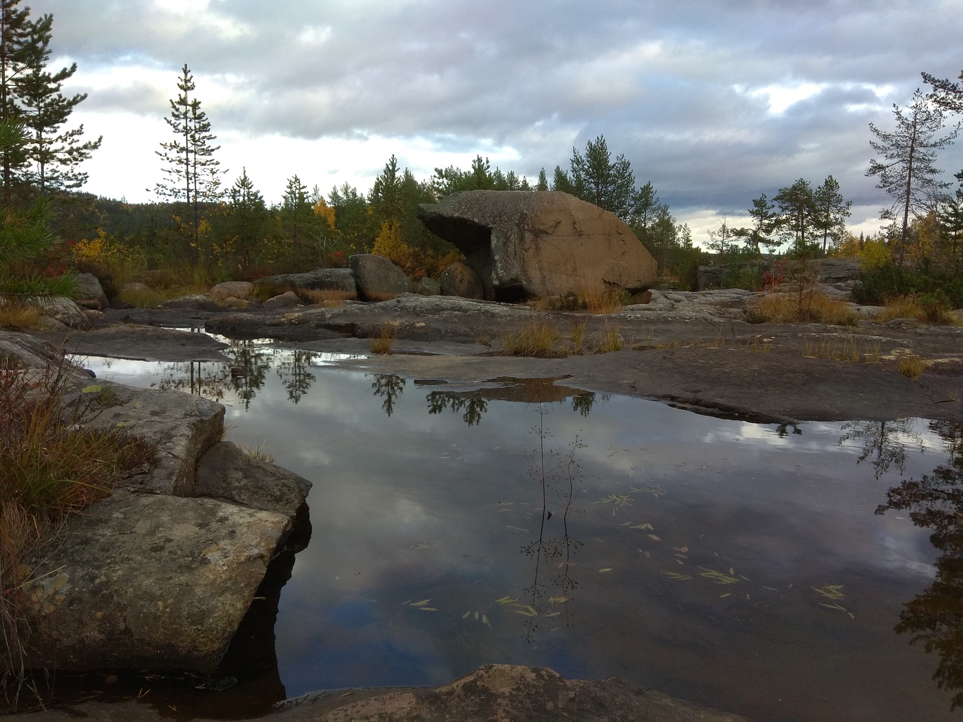 Маленькая жизнь