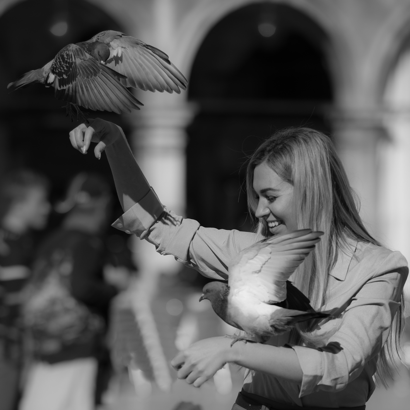 Голубиная верность